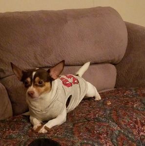 Meet your Posher, Junco